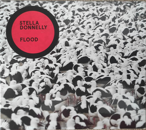 FLOOD