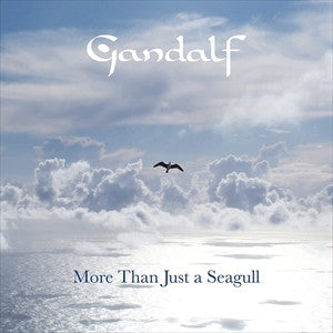 MORE THAN JUST A SEAGULL