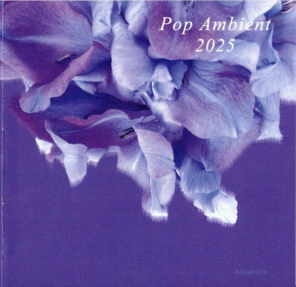 POP AMBIENT 2025