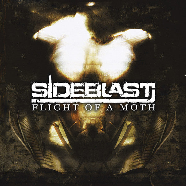 FLIGHT OF A MOTH