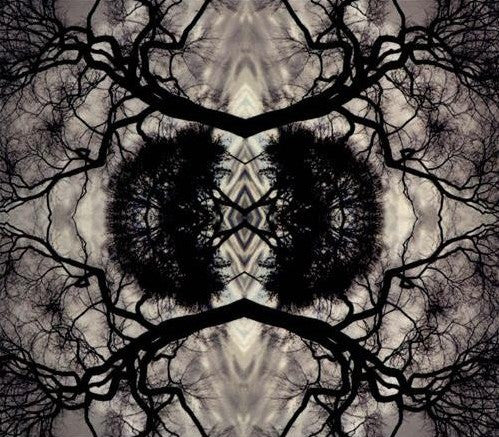 SONIC MANDALA GO: ORGANIC ORCHESTRA