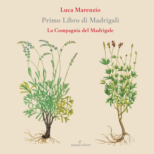 MARENZIO: PRIMO LIBRO DI MADRIGALI