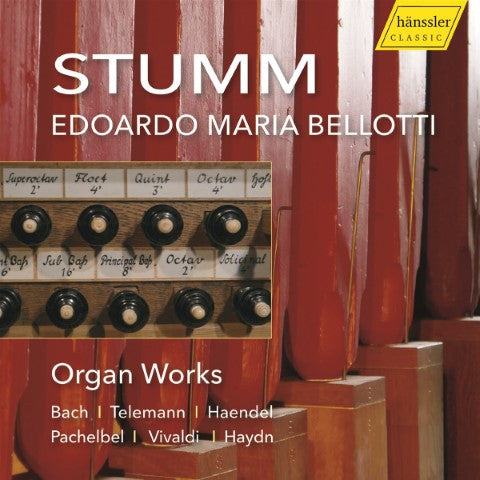 STUMM ORGAN