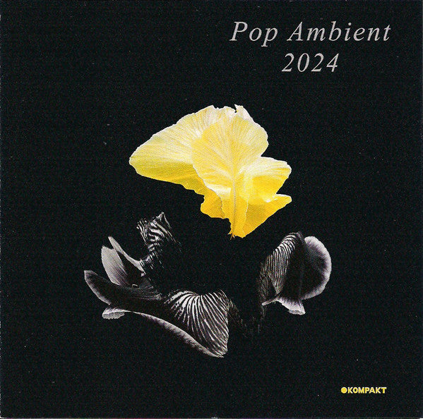 POP AMBIENT 2024