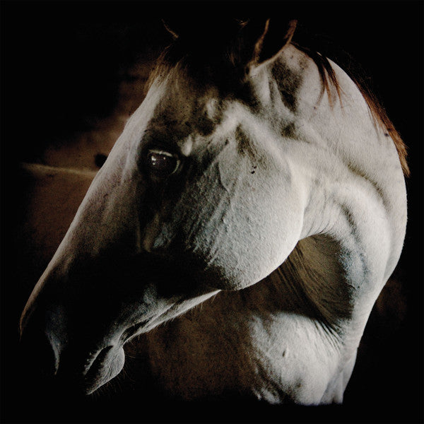 HOW TO KILL A HORSE