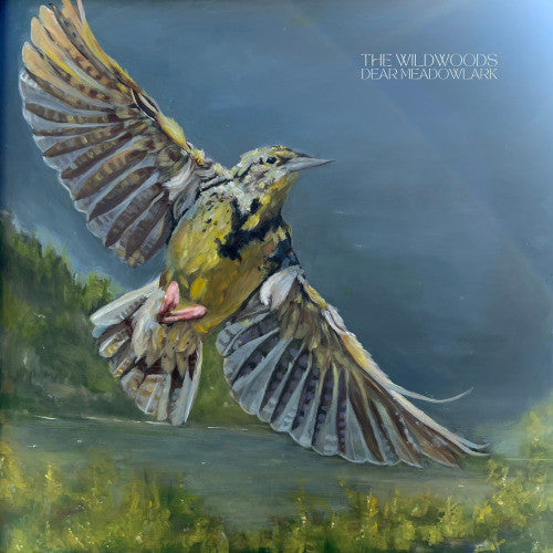 DEAR MEADOWLARK