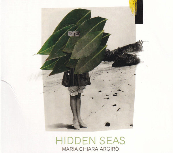 HIDDEN SEAS