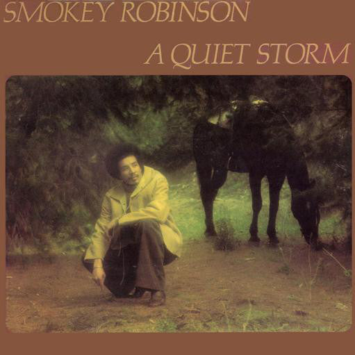 QUIET STORM