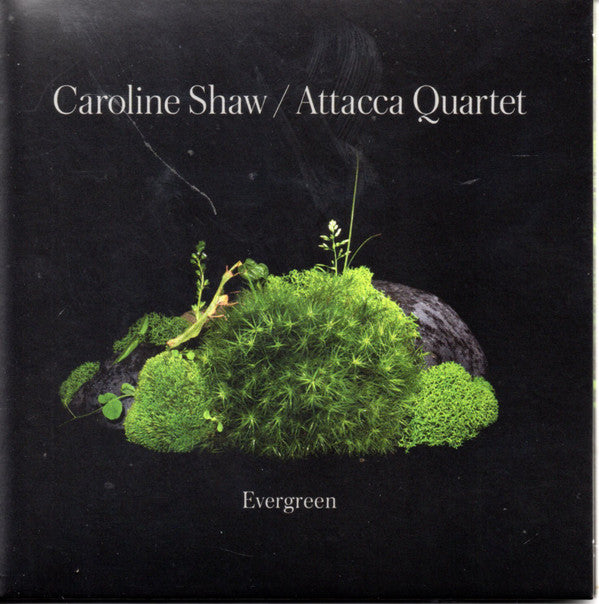 CAROLINE SHAW: EVERGREEN