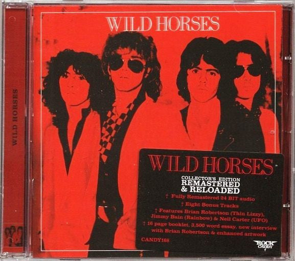 WILD HORSES